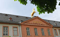 Internationaler Museumstag: Koblenz lockt mit F�hrungen und Workshops
