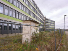 Tierseuchen in Rheinland-Pfalz 2025: Herausforderungen und Erfolge