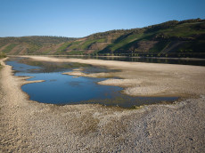 Sommer 2026 in Rheinland-Pfalz: W�rmerekorde und dramatische Folgen