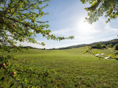 Sommerliches Wetter am ersten Septemberwochenende in Rheinland-Pfalz erwartet
