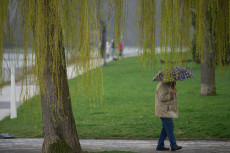 Unbest�ndiges Wetter: Regen und Gewitter in Rheinland-Pfalz erwartet