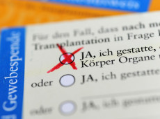 Kontroverse um Widerspruchsl�sung bei Organspenden im Landtag