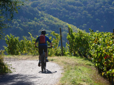 Mildes Herbstwetter in Rheinland-Pfalz erwartet