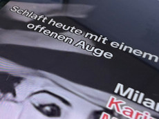 Horror-Katze im Netz sorgt f�r Aufregung - Polizei pr�ft Videos
