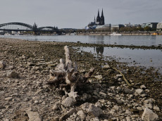 Niedrigwasser in Rheinland-Pfalz: Experten warnen vor langfristigen Folgen
