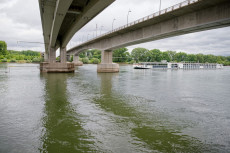 Neue Studie untersucht Auswirkungen von Schadstoffen auf den Rhein