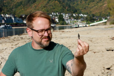 Sch�tze im Rhein bei Koblenz: Niedrigwasser enth�llt Jahrtausende alte Funde