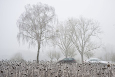 Winterwetter h�lt Rheinland-Pfalz im Griff - Gl�ttegefahr f�r Autofahrer