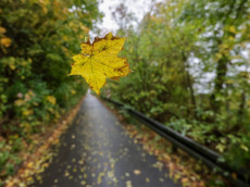St�rmisches Wochenende in Rheinland-Pfalz erwartet