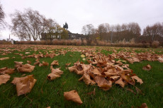 Regen und Wolken bestimmen das Wetter in Rheinland-Pfalz