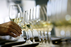 Stabile Weinexporte trotz globaler Herausforderungen