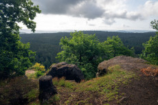 Wetterwechsel in Rheinland-Pfalz: Wolken und Schauer trotz sommerlicher Temperaturen