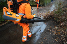 Herbstlaub in Rheinland-Pfalz - Ein logistischer Kraftakt in Mainz, Ludwigshafen, Trier und Koblenz