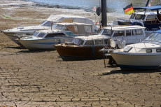 Rheinanwohner in Sorge: Was der historische Tiefstand f�r die Schifffahrt bedeutet