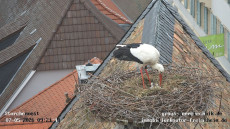 Virtuelle Rundreise durch Rheinland-Pfalz: Webcams im Einsatz
