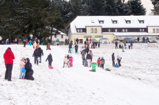 Winterwetter bringt Schnee und Gl�tte nach Rheinland-Pfalz