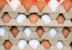 Rheinland-Pfalz trotzt Eierkrise: Stabile Versorgung zu Ostern erwartet