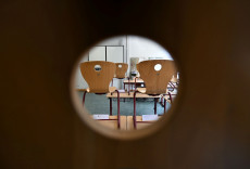 AfD fordert anonymes Meldeportal f�r Schulen in Rheinland-Pfalz