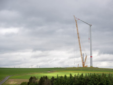 Trotz H�rden: Windkraft in Rheinland-Pfalz w�chst weiter