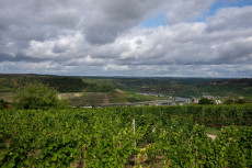 Sp�tsommerliche Temperaturen in Rheinland-Pfalz erwartet