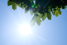 Hochsommerliches Wetter in Rheinland-Pfalz: Temperaturen steigen weiter an