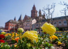 Sonniger Wochenstart in Rheinland-Pfalz - Wetterumschwung ab Mittwoch erwartet