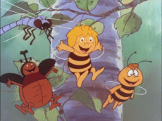 "Biene Maja" feiert 50 Jahre - Der Klassiker des Kinderfernsehens lebt weiter