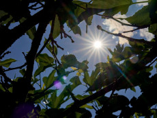 Wetterumschwung in Rheinland-Pfalz - Sonne weicht Wolken