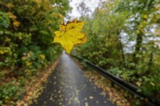 Herbstwetter in Rheinland-Pfalz: Regen und starker Wind erwartet