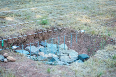 W�lfe in Rheinland-Pfalz: Neue Schutzma�nahmen f�r Weidetiere vorgestellt