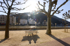 Sonne nach Nebel in Rheinland-Pfalz erwartet