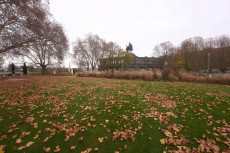 Rheinland-Pfalz: Ungemtliches Wetter mit Regen und Gltte
