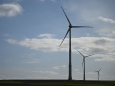 Windkraft-Ausbau in Rheinland-Pfalz: Verb�nde und Nabu mit unterschiedlichen Sichtweisen