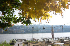 Milder Herbst in Rheinland-Pfalz: Temperaturen bis 18 Grad erwartet