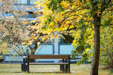 K�hleres Wetter und Regen erwartet: Herbstlicher Umschwung in Rheinland-Pfalz