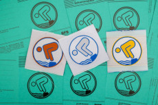 Steigender Trend bei Schwimmabzeichen in Rheinland-Pfalz