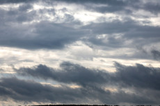 Wetter in Rheinland-Pfalz: Wolken, Regen und m�gliche Gewitter zum Wochenbeginn