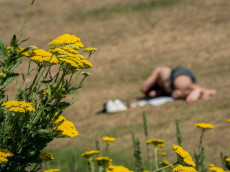 Hei�e Tage in Rheinland-Pfalz: Bis zu 32 Grad erwartet