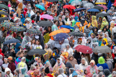 Karneval 2026 in Rheinland-Pfalz: Tierkost�me und Klassiker im Trend