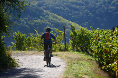 Sp�tsommerw�rme in Rheinland-Pfalz - Wetterumschwung ab Donnerstag erwartet