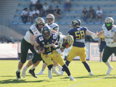 Letztes Heimspiel: Fighting Farmers Montabaur gegen Biberach Beavers