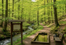 Fr�hlingstipps f�r den Westerwald: Wanderwege und Barfu�pfade im Kreis Neuwied