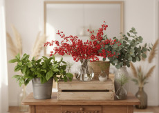 Blumen im Winter: Bltenpracht drinnen genieen