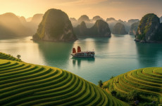 Warum fasziniert Vietnam Reisende weltweit?