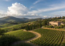 5 Tipps f�r die Planung eines Urlaubs in bekannten Weinregionen