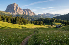 Urlaub auf der Hochalm � Warum Bergregionen als Reiseziel immer beliebter werden
