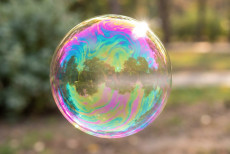 Online-Transparenz im Umbruch: Europa setzt Regeln, global wachsen die Unterschiede