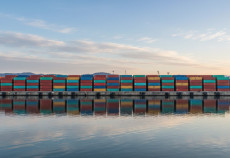 Wirtschaftsstandort Rhein-Neckar: Moderne Lagerlsungen fr regionale Unternehmen