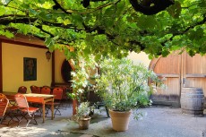 Regionalinitiative Naturgenuss präsentiert Wein und Käse in Leutesdorf