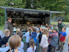 NAJU-Zeltlager in Niedererbach: Kinder erleben Natur und Nachtpirsch